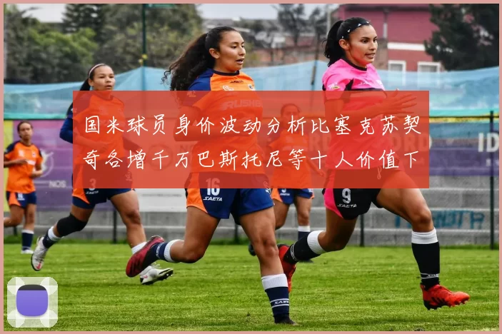 国米球员身价波动分析比塞克苏契奇各增千万巴斯托尼等十人价值下滑