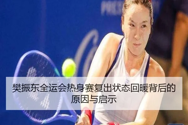 樊振东全运会热身赛复出状态回暖背后的原因与启示（leyu.com）